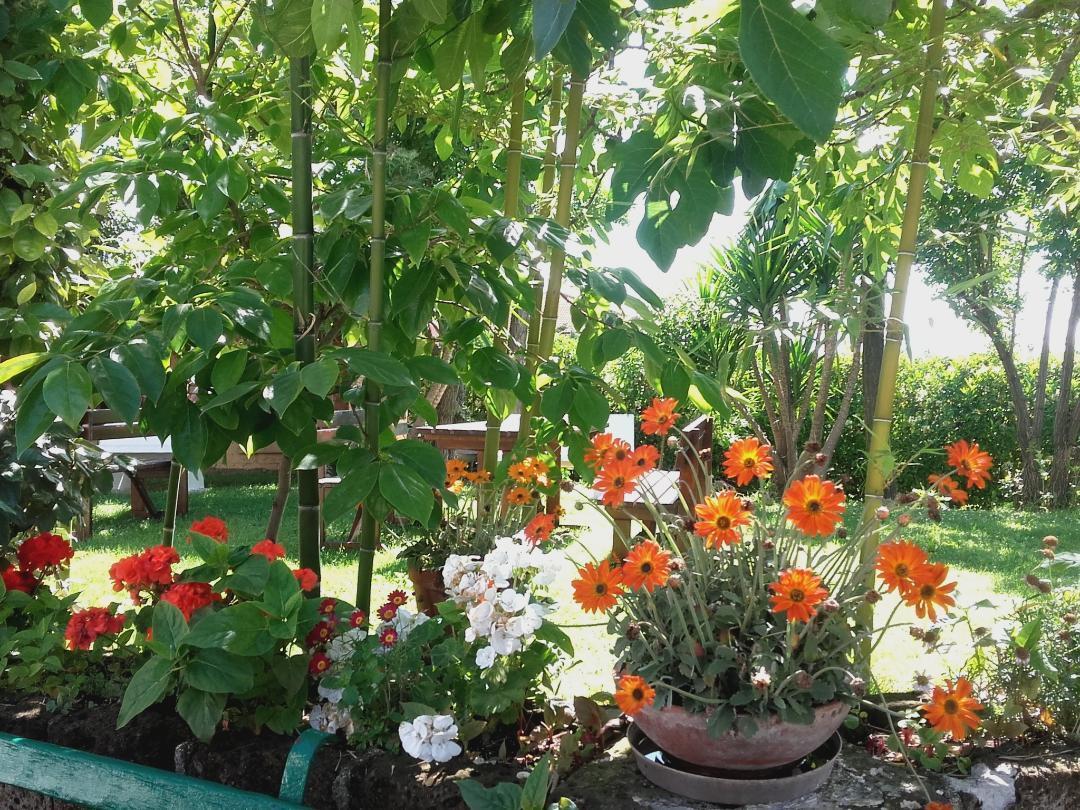 Pier Delle Vigne B&B ปีเนโต ภายนอก รูปภาพ