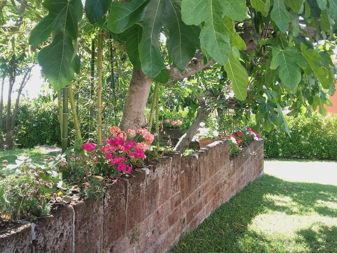 Pier Delle Vigne B&B ปีเนโต ภายนอก รูปภาพ