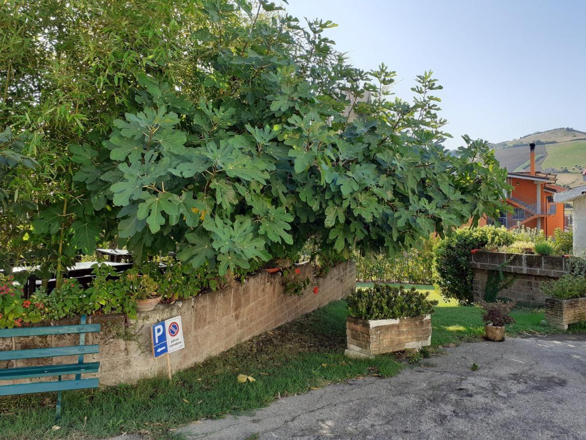 Pier Delle Vigne B&B ปีเนโต ภายนอก รูปภาพ