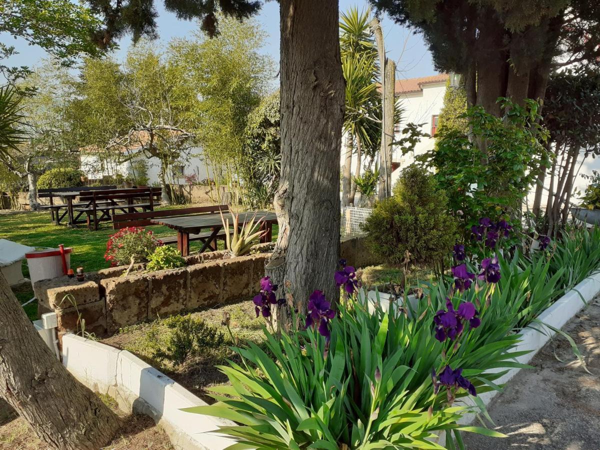 Pier Delle Vigne B&B ปีเนโต ภายนอก รูปภาพ