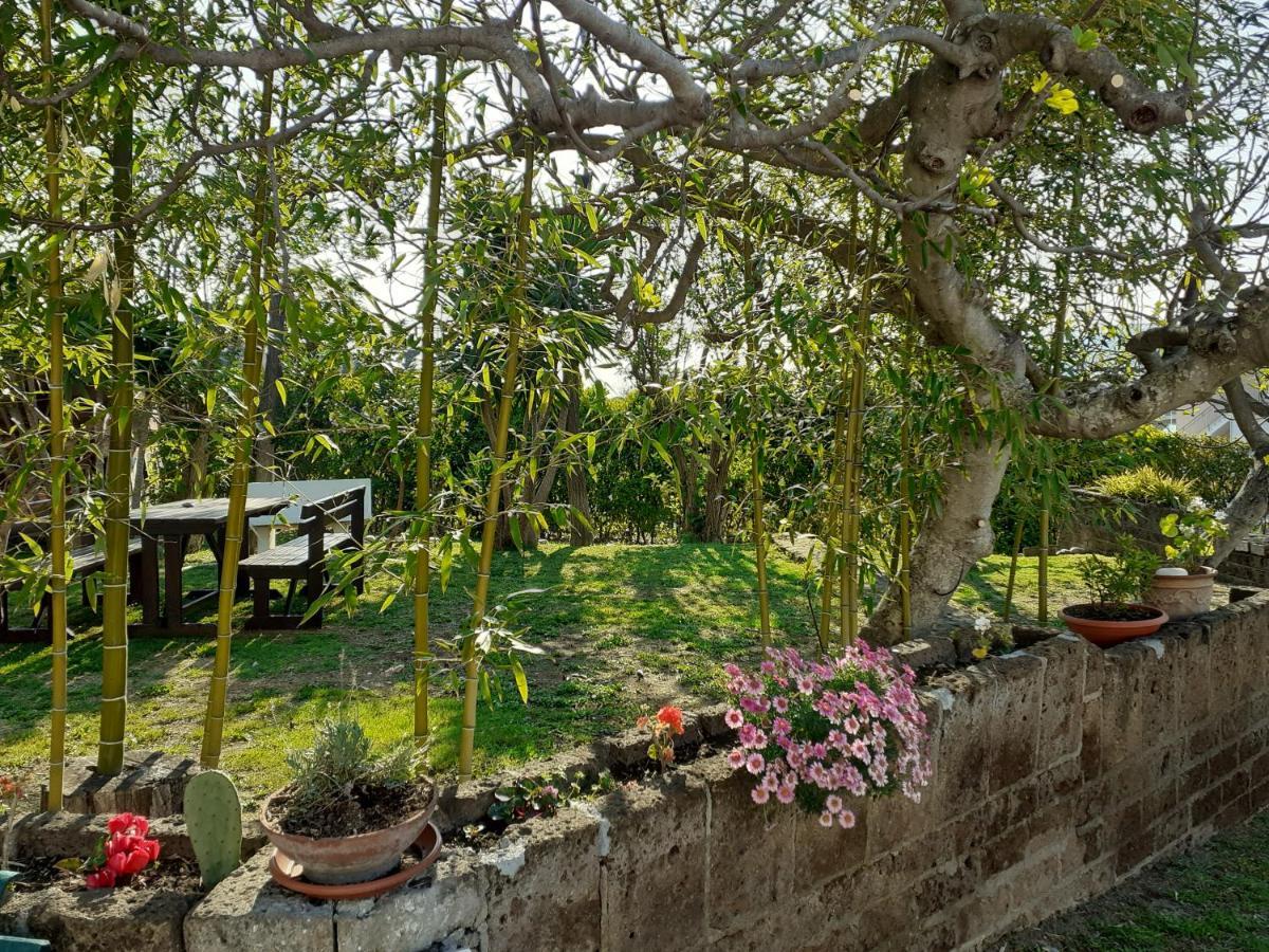 Pier Delle Vigne B&B ปีเนโต ภายนอก รูปภาพ
