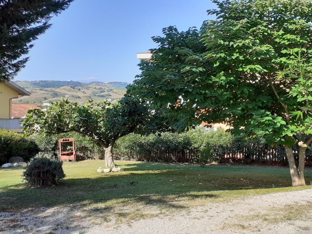 Pier Delle Vigne B&B ปีเนโต ภายนอก รูปภาพ