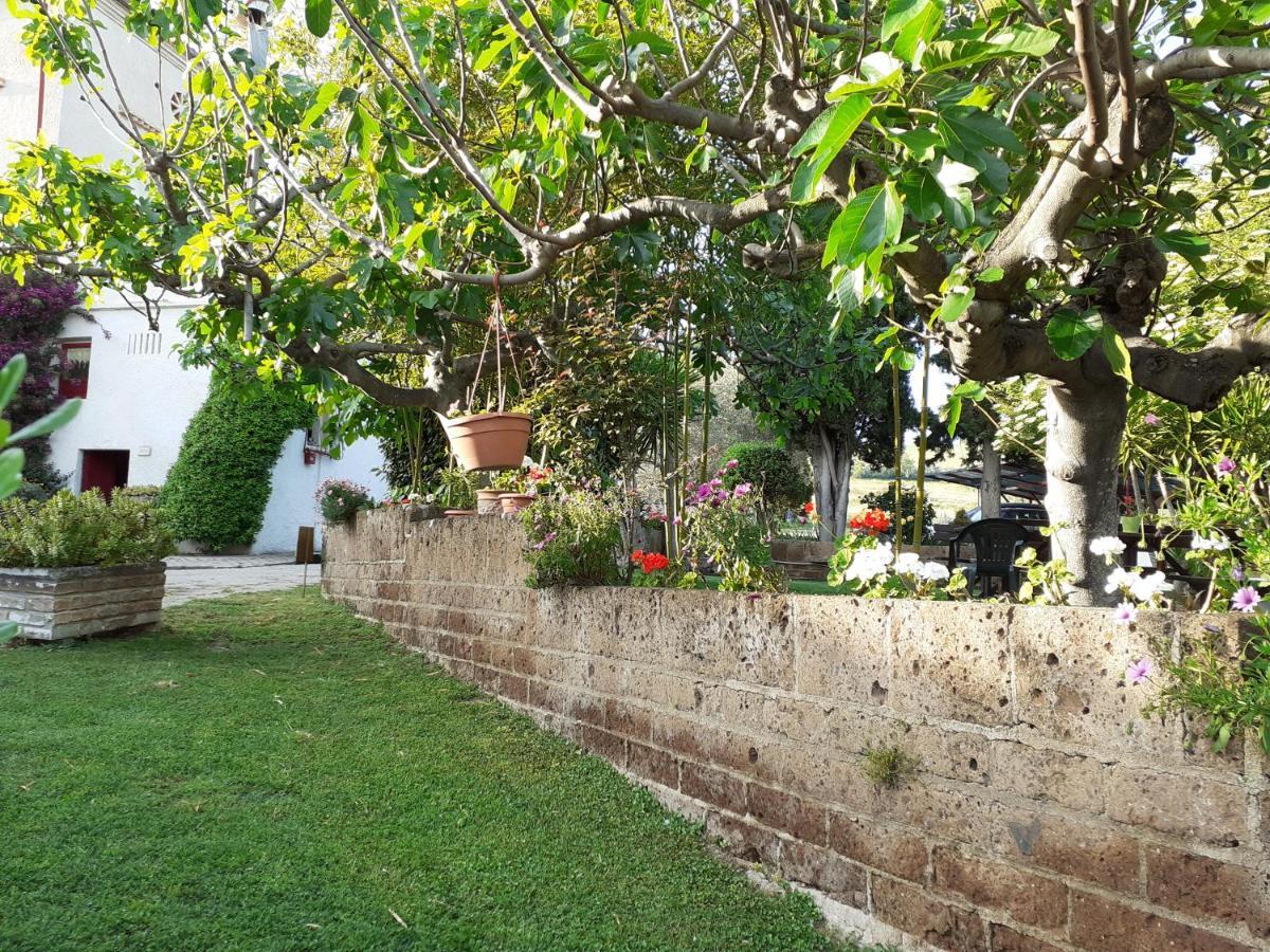 Pier Delle Vigne B&B ปีเนโต ภายนอก รูปภาพ