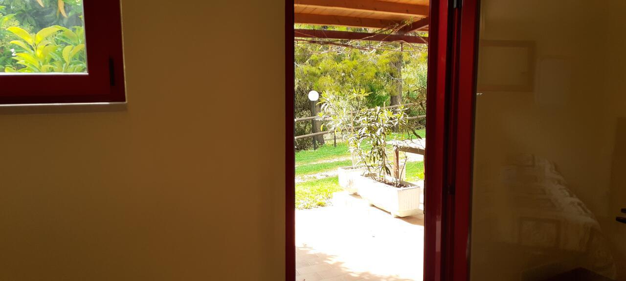 Pier Delle Vigne B&B ปีเนโต ภายนอก รูปภาพ