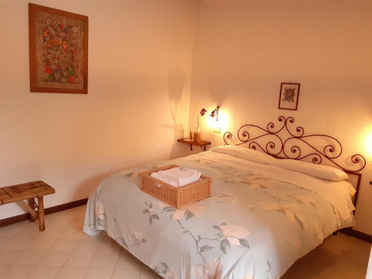 Pier Delle Vigne B&B ปีเนโต ภายนอก รูปภาพ