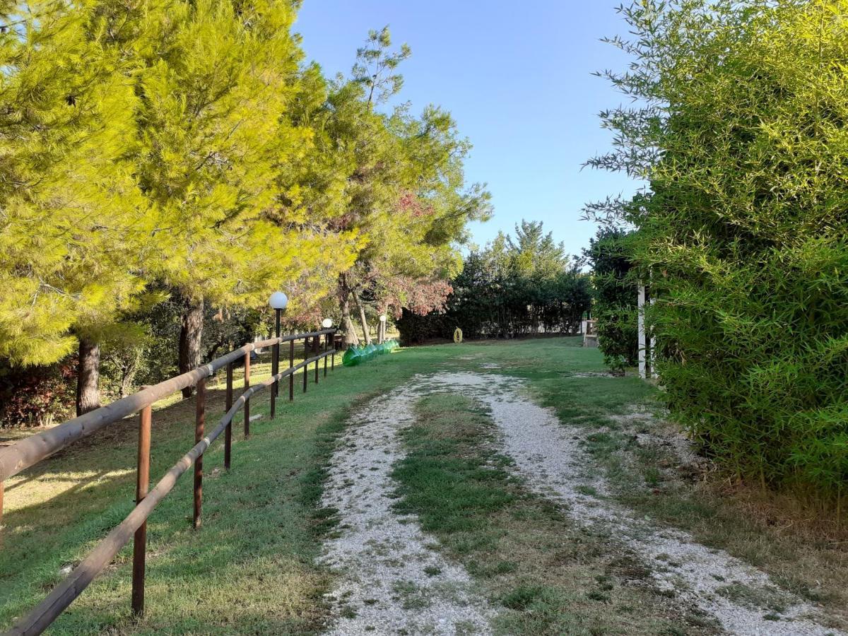 Pier Delle Vigne B&B ปีเนโต ภายนอก รูปภาพ